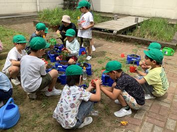 IMG_3865.jpg