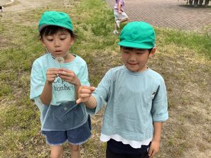 IMG_3877.jpg