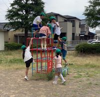 IMG_44212.jpg