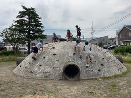 IMG_4210.jpg