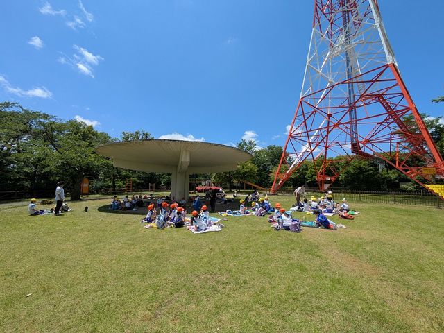 PXL_20260529_025245106.jpg