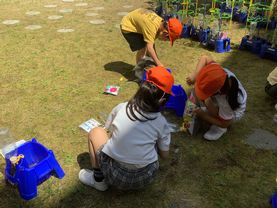 IMG_5596.jpg