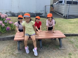 IMG_5798.jpg