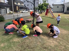 IMG_5810.jpg