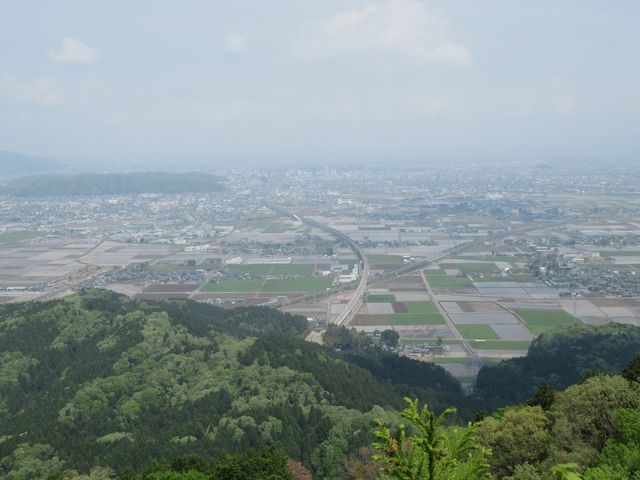 IMG_6234.jpg
