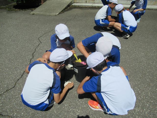 IMG_6598.jpg