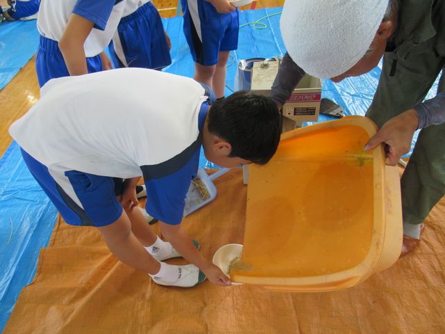 IMG_5338.jpg