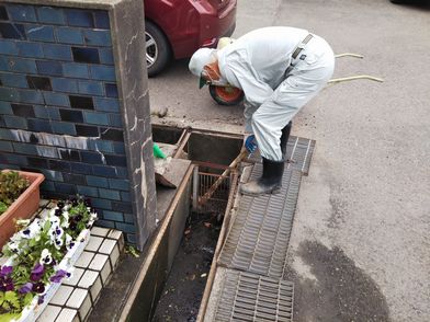 藤澤さんの働く姿.jpg