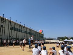 05175.jpg