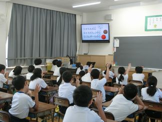 CIMG9055.jpg