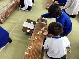 IMG_4139.jpg