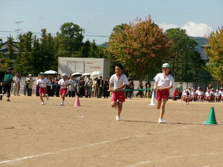20261006_172519_0.jpg