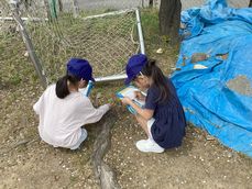 IMG_4459.jpg