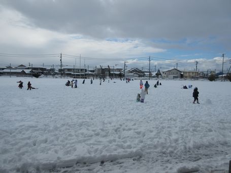 IMG_1308.jpg