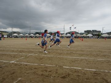 IMG_1875.jpg