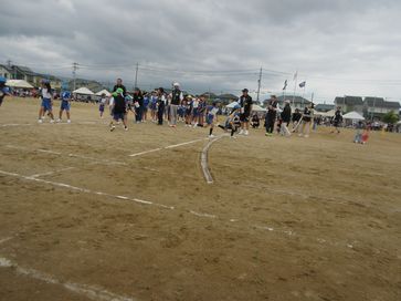 IMG_1883.jpg