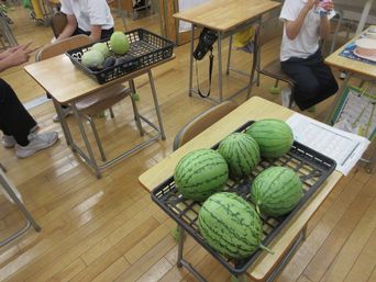 中藤すいか.jpg
