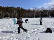 IMG_0151.jpg