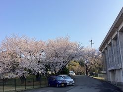 20250407_81849_1.jpg