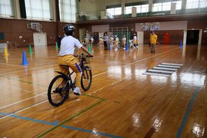 IMG_7177.jpg