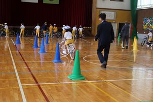 IMG_7182.jpg