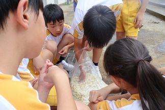 IMG_7566.jpg