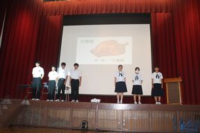 IMG_6393.jpg