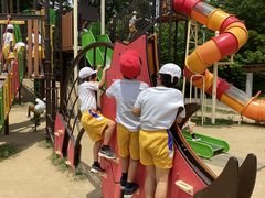 IMG_0806.jpg