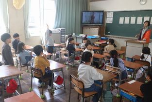 IMG_7588.jpg