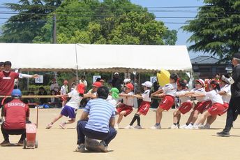 IMG_6656.jpg