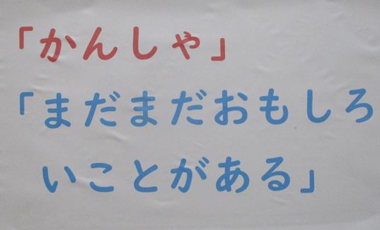 IMG_8862.jpg