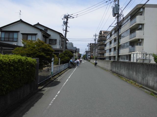CIMG1185.jpg