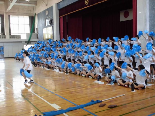 CIMG1314.jpg
