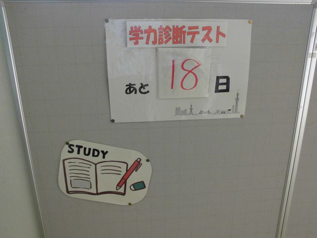 CIMG1381.jpg