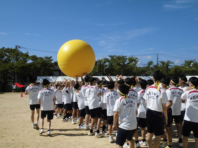 CIMG2786.jpg