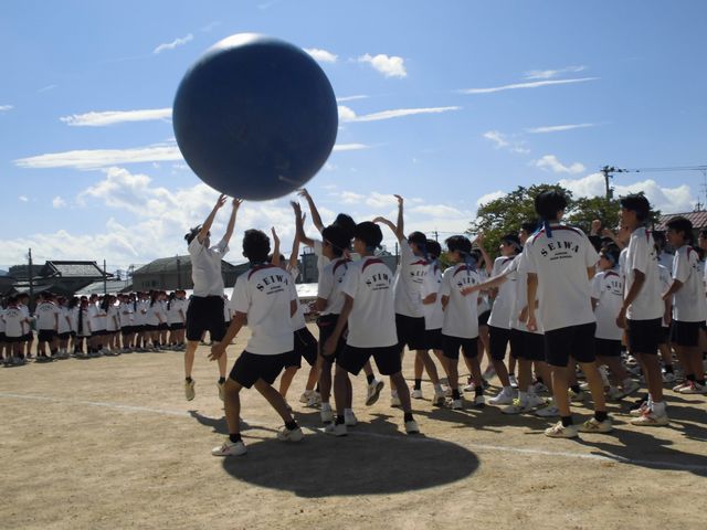 CIMG2788.jpg