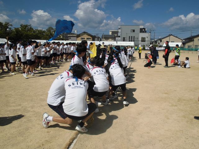 CIMG2790.jpg