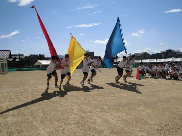 CIMG2782.jpg