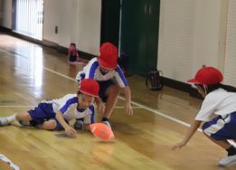 IMG_2070.jpg