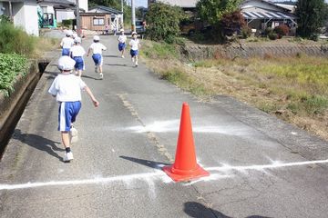 IMG_2379.jpg