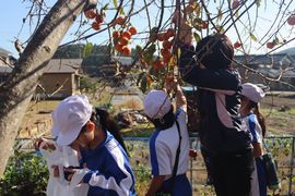 IMG_2658.jpg