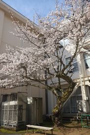 IMG_3680.jpg