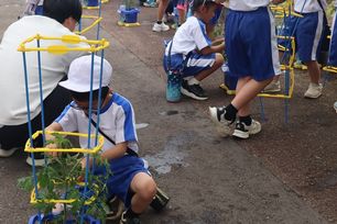 IMG_3876.jpg