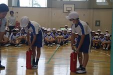 IMG_4321.jpg