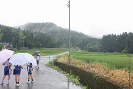 IMG_3793.jpg