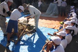 IMG_3803.jpg