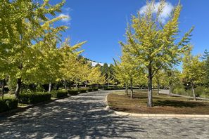 IMG_2527.jpg