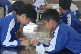 IMG_4739.jpg