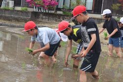 IMG_5631.jpg