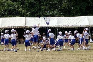 IMG_2983.jpg